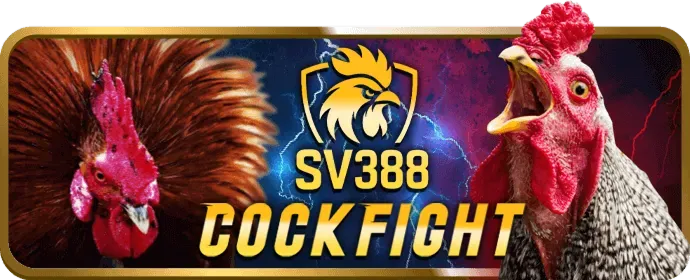 Ứng dụng p3bet nhà cái tối ưu cho di động
