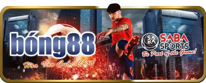 Cá cược bóng đá tại p3bet nhà cái