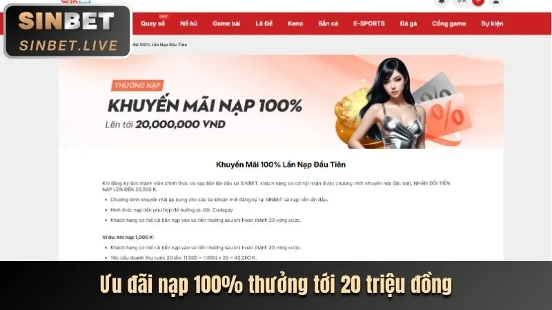 Chương trình hoàn trả cực cao p3bet nhà cái